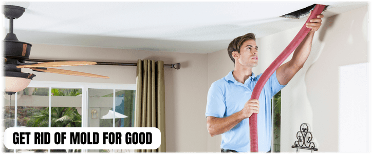 Air Duct Mold Removal in Ashburn VA
