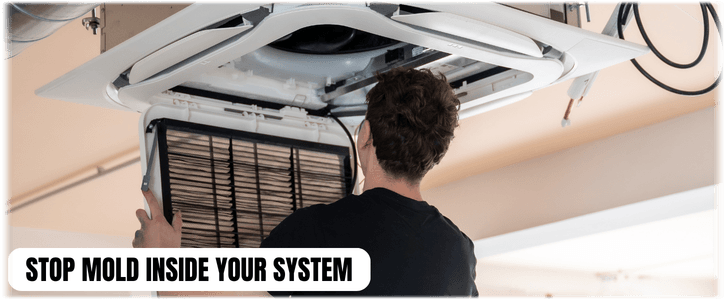 HVAC Mold Removal Ashburn VA